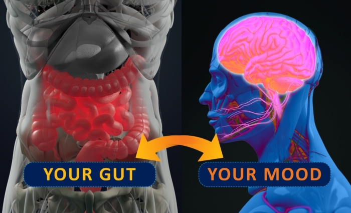 The gut-brain axis: challenging our understanding of neurological disease